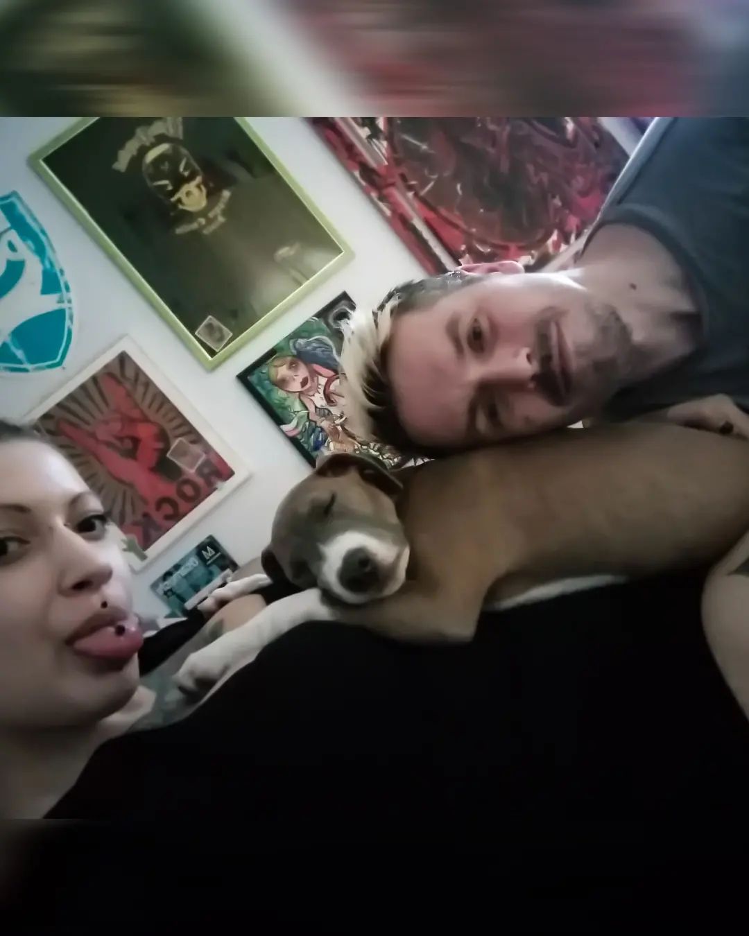 #family 🐶💖👫🏼
#dog #puppy #puppylove #love #familyphotography #beauty #girls #instagood #lovedogs #me #mydog #pitbullsofinstagram #pitbull #puppies  #pitbullsofficial #amstaff #tattoo #tattoos 
@mattia.bacchi.76