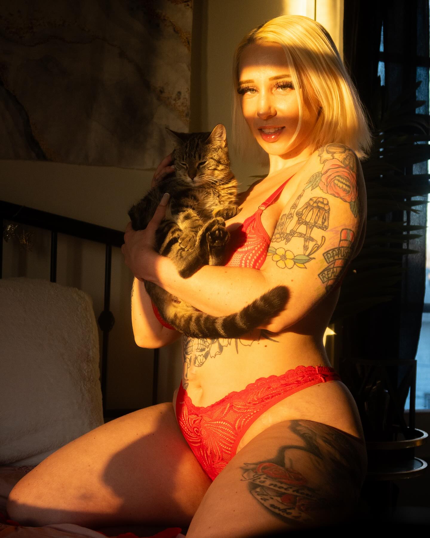 Valentines Kitty 🌹🐈 
.
Model: @caitlinzielinskiofficialmodel 
📸: @cvrrent.flow 

.
#model #valentinesday #photoshoot #cat #kitten #lingerie