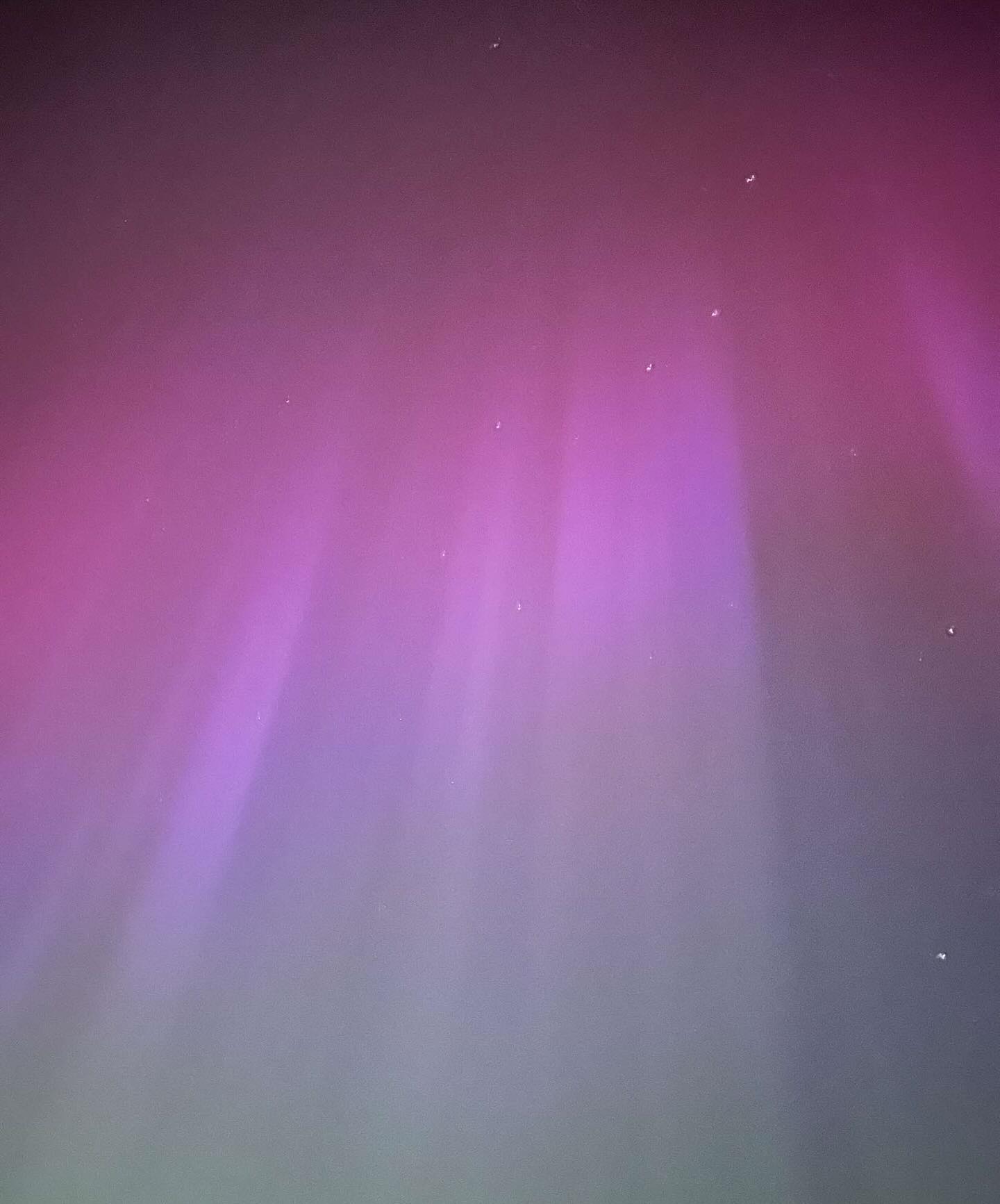 Had to screen record my camera to see this! Can’t believe we had the chance to see this where I am 🔥 #aurora #auroraborealis #northernlights #nightphotography #nightsky