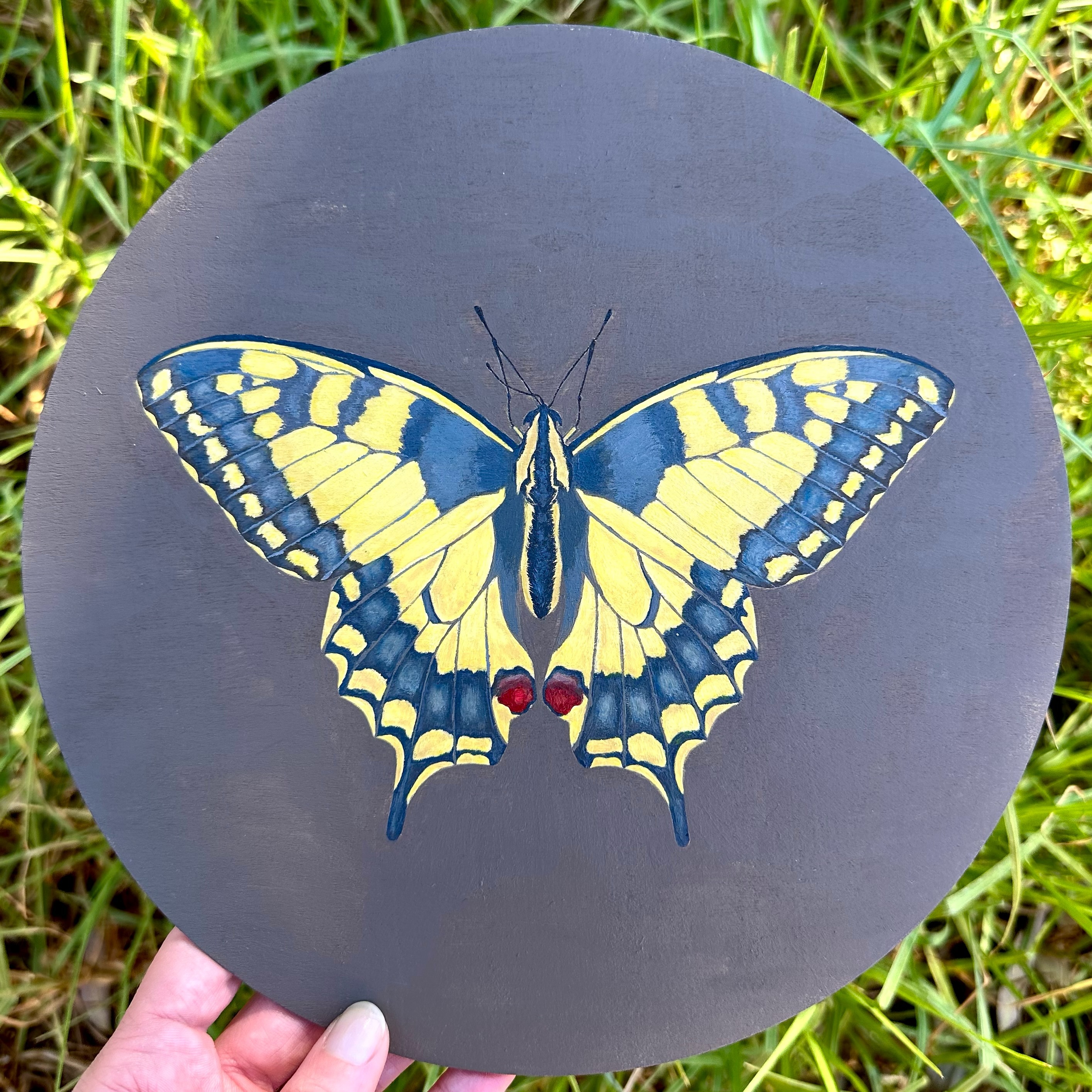 🦋Butterfly painting🦋