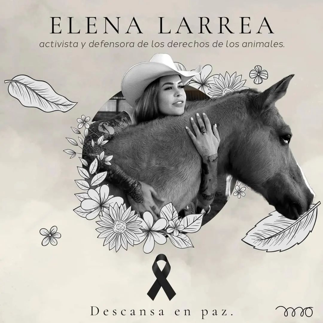 Me uno al dolor de la pérdida de Elena Larrea, una mujer con los pantalones bien puestos, que desde donde estés, puedas seguir cuidando de todos los caballos 🐎 
Mis oraciones contigo 🙏 

Q.E.P.D
