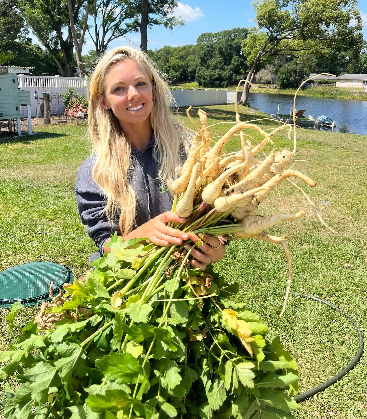 Have you ever tried parsnip ? 🌾 
they look like a carrot and have a sweet nutty flavor. Prepared like mashed potatoes is my favorite and who knew they were so easy to grow. They really loved their full sun & loose sandy soil 🌱 
what’s a favorite way to prepare parsnip I need to try next?? 👇🏼 #homegrown #parsnip #backyard #homestead #igroceryshopinmygarden