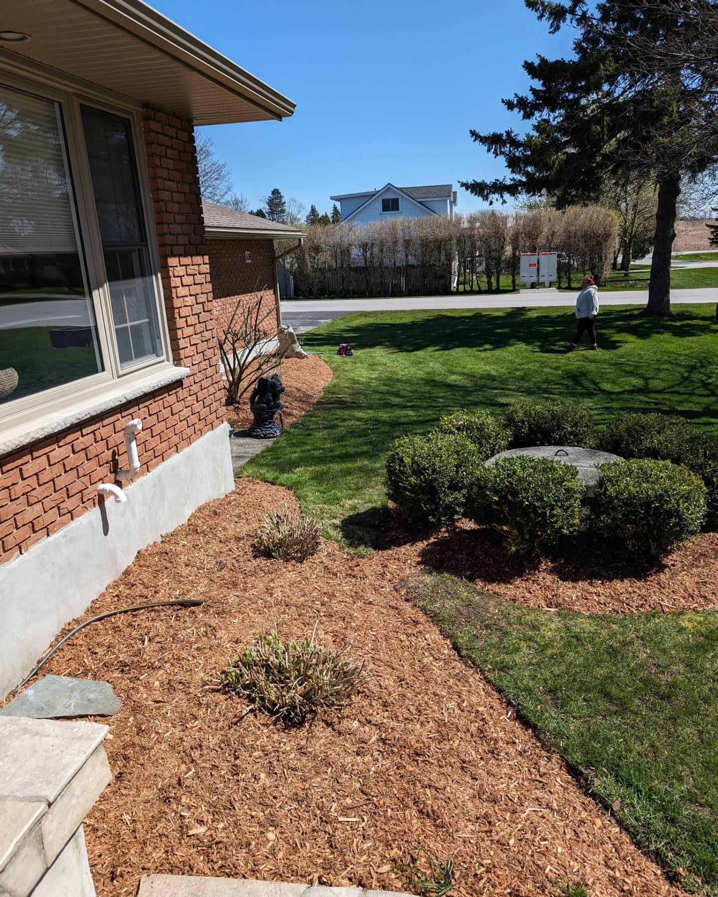 Had a helper to get this job done quick after a dull dreary morning to get it knocked off the list! #thanksbabe #helpinghands #gardenmakeover #edging #mulch #weeding #friendssupportfriends #supportsmallbusiness #supportlocal #townofgoderich #portofgoderich #surroundingareas #nailedit