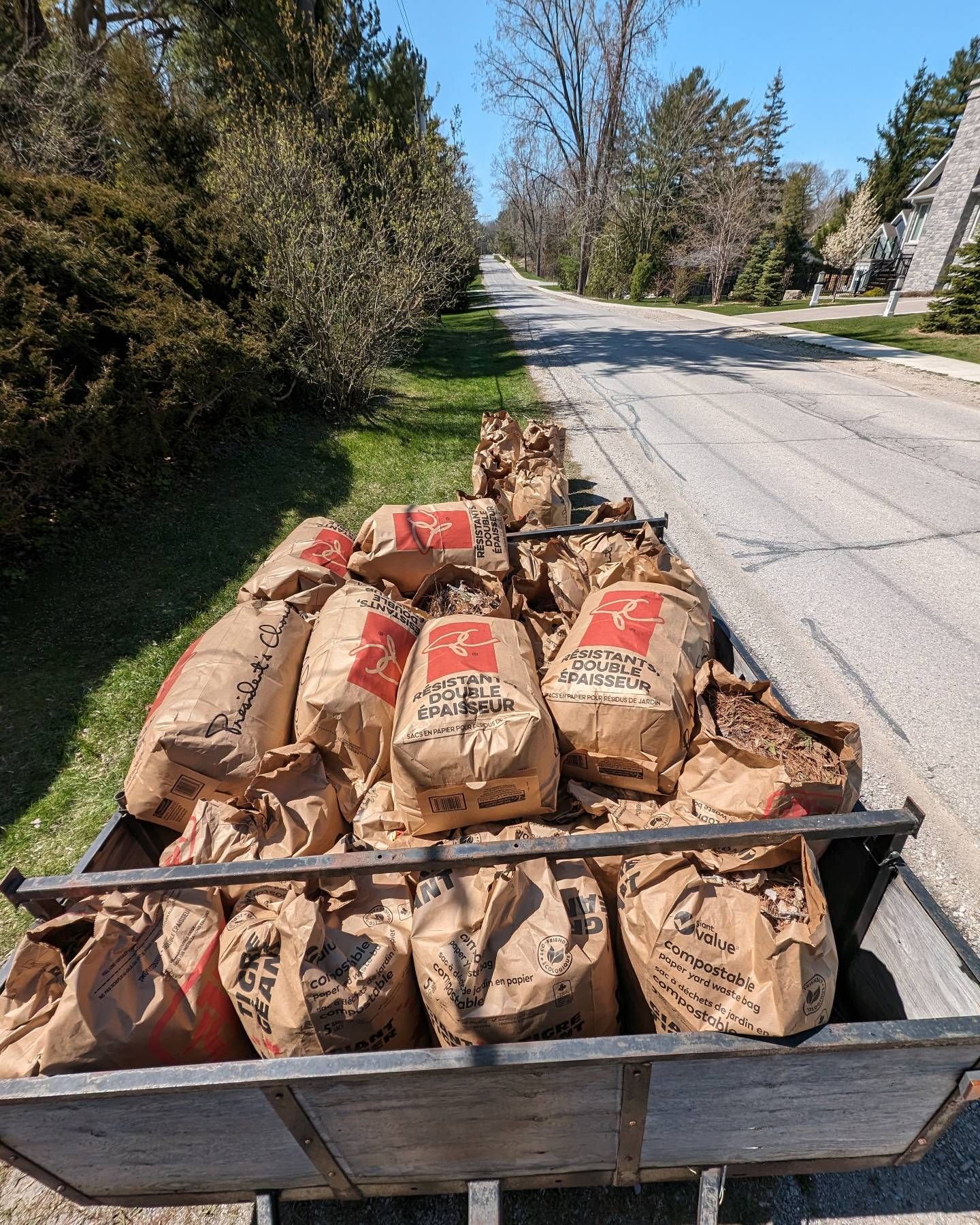 Lost count but we must have filled and emptied 60+bags all together yesterday! Wowzers are my arms sore today! Thankfully it's Fri-Yah and it's almost the weekend! ✨🎉
#nomoreleaves #leafcollection #leafpile #springfever #springcleaning