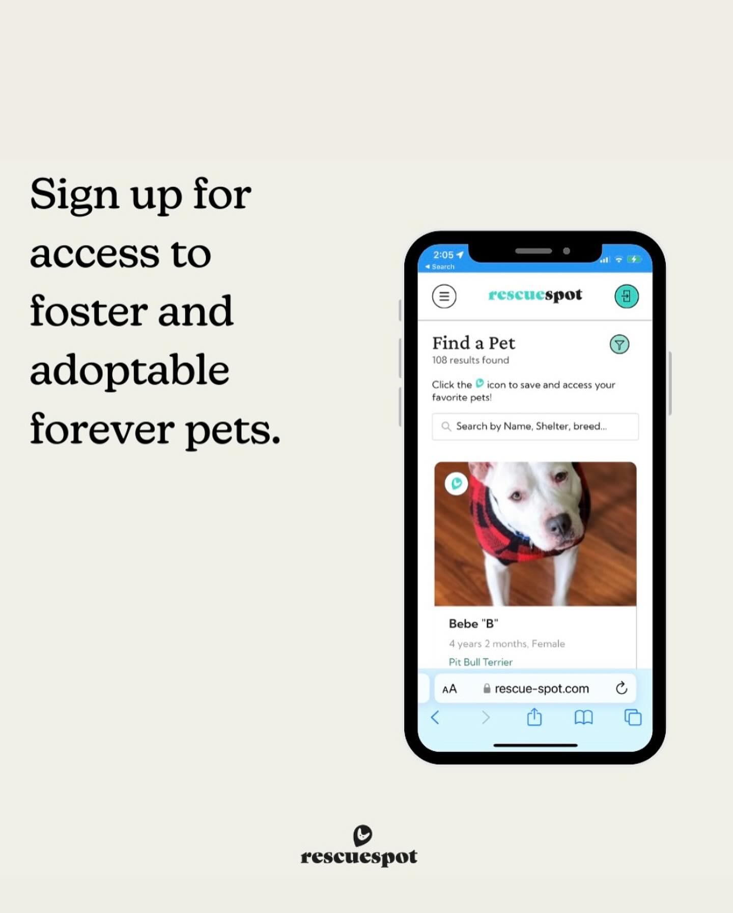 Ready for another busy year with @rescue_spot 🐾🐕 
.
@rescue_spot is game-changing platform dedicated to simplifying and streamlining the pet adoption & fostering process. 
.
We are the only platform that displays fosterable pets and that allows adopters to apply for multiple pets instantly from different shelters- with just a one-time application!
.
We provide total shelter management for rescues and shelters, drastically cutting down on the time spent searching & vetting for fosters, freeing up time for rescues to care for their animals❤️
.
Our mission at Rescue Spot is close to my heart, fueled by the belief that we can end the heartbreaking necessity of euthanasia due to overcrowded shelters. We’re working towards a future where pets find their forever homes or loving foster families faster, and shelters are no longer overwhelmed.
.
It’s been 4 years (almost to the day!) since I adopted my pup River from the dog meat trade in Korea. Apart from being the best thing to ever happen to me, he is a testament to the transformative power of adoption and fostering.
.
Follow @rescue_spot to stay updated on the latest adoptable pets, ask any questions you may have about adopting or fostering, and be part of our in-person adoption events this year 🎉 (see my story highlights for more info) 
#RescueSpot #AdoptDontShop