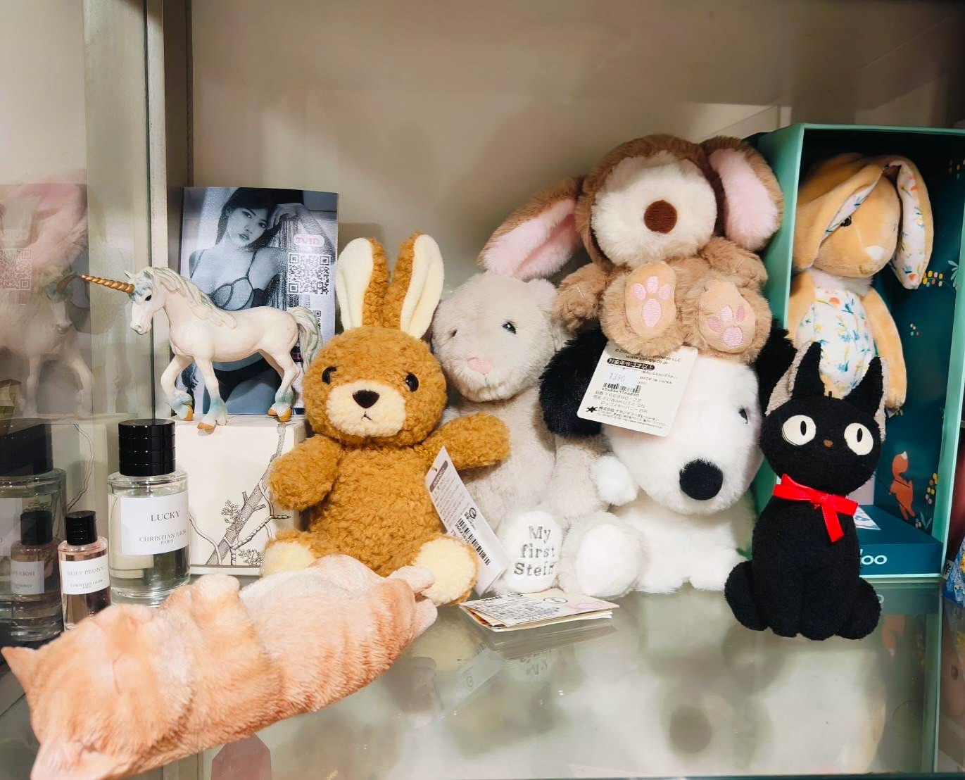 我很愛兔子🐰娃娃
因為（代表溫柔）
哈哈再來史奴比/貓
左邊上👈🏻我的寫真照