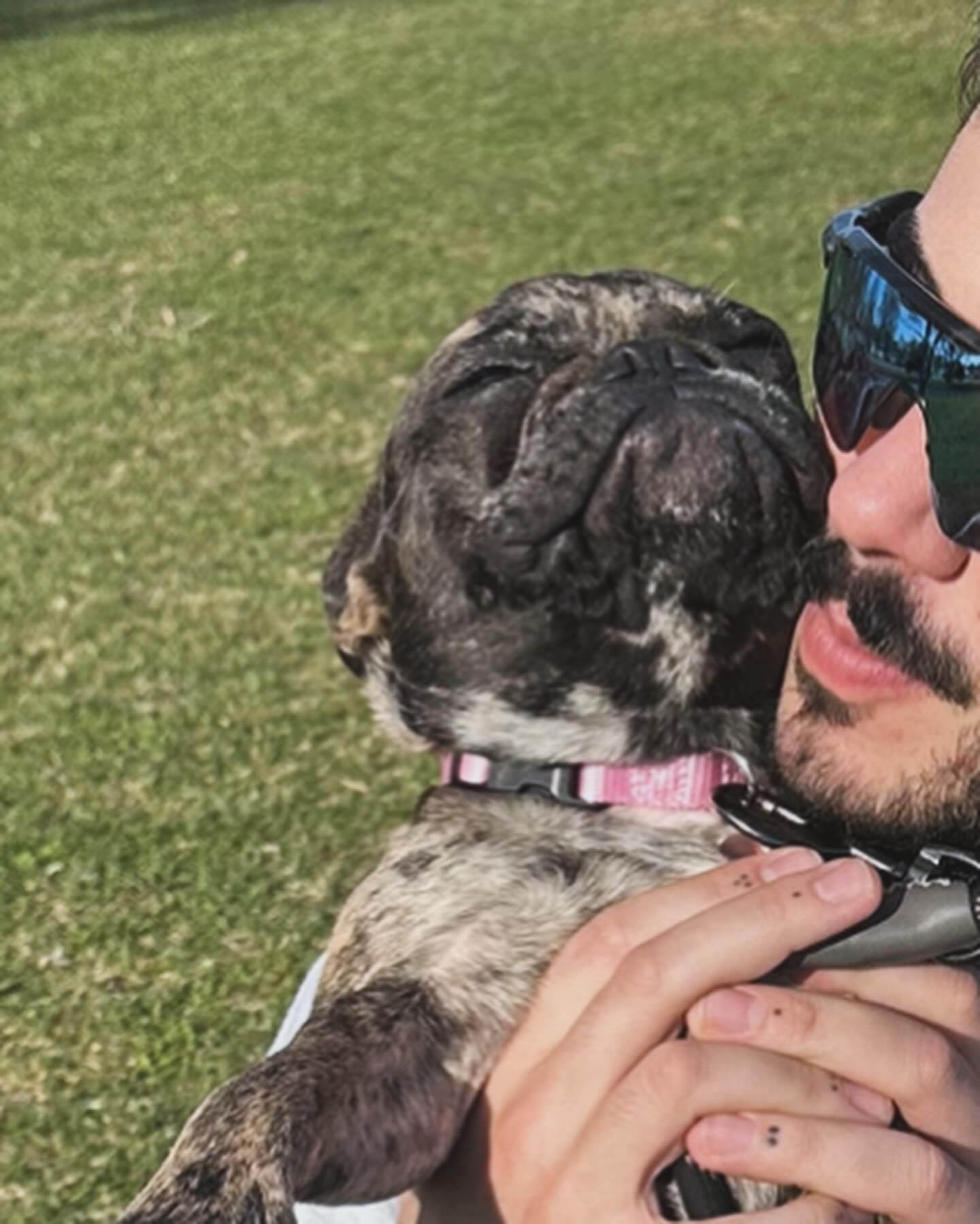 Let it be known I *will* kiss your dog on the mouth
•
•
•
•
•
•
#doglover #woof #scruffy #beard #spring #chicago #xyzbca #fyp #explore #lakeside #cuddles
