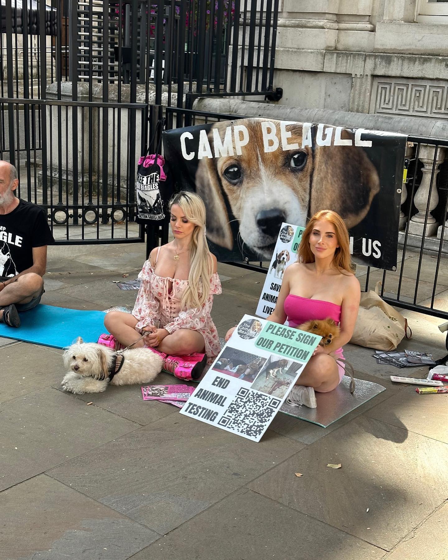 A brilliant day campaigning for Camp Beagle. It’s absolutely horrific and pure evil that these poor doggy’s are getting tested on. Please ban animal testing in the UK! Please sign the petition. https://petition.parliament.uk/petitions/633591?fbclid=PAAaa4vqGAtVtC2qwBf4ldOwM3vNFC1txRaHZ604am7tWGv_NTBeivXS3eT8c_aem_AQ9Y45SViFhA39QLELfTa6Z1LpycZ02ri2QekR-l2xJei1WIbfEMaqC-Mvdv558OILE