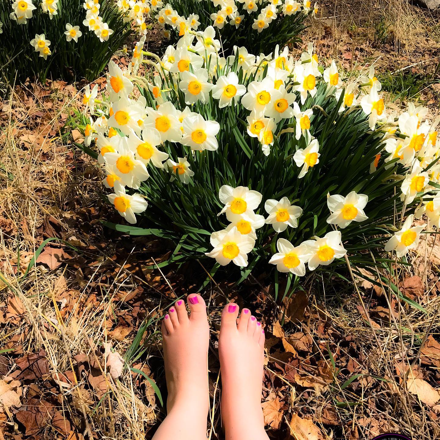 Miss Gracie Playing Footsies in the Flower Garden ... May 2020. #Miss #dominate #dømme #alternativestyle #feetfetishworld  #feetworship #toesfetish