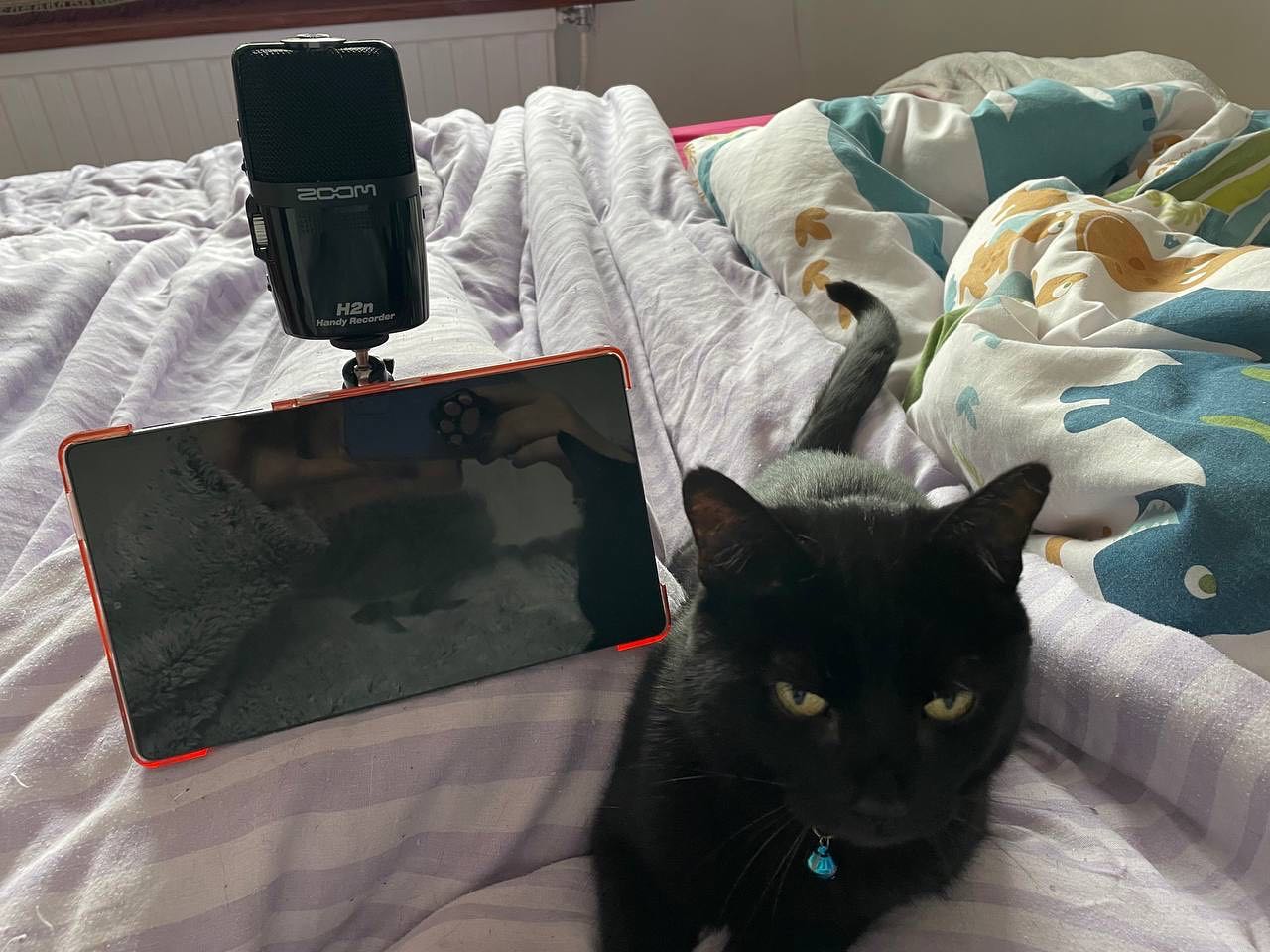 My new audio recording set up comes with a purring noise!