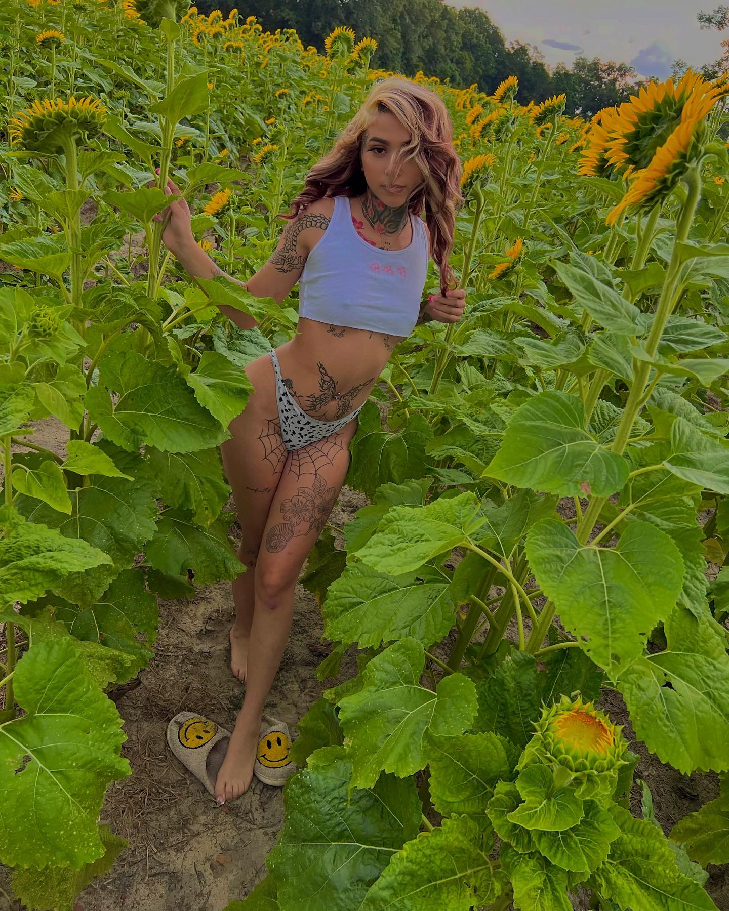 you’re a sunflower 🌻
#explore