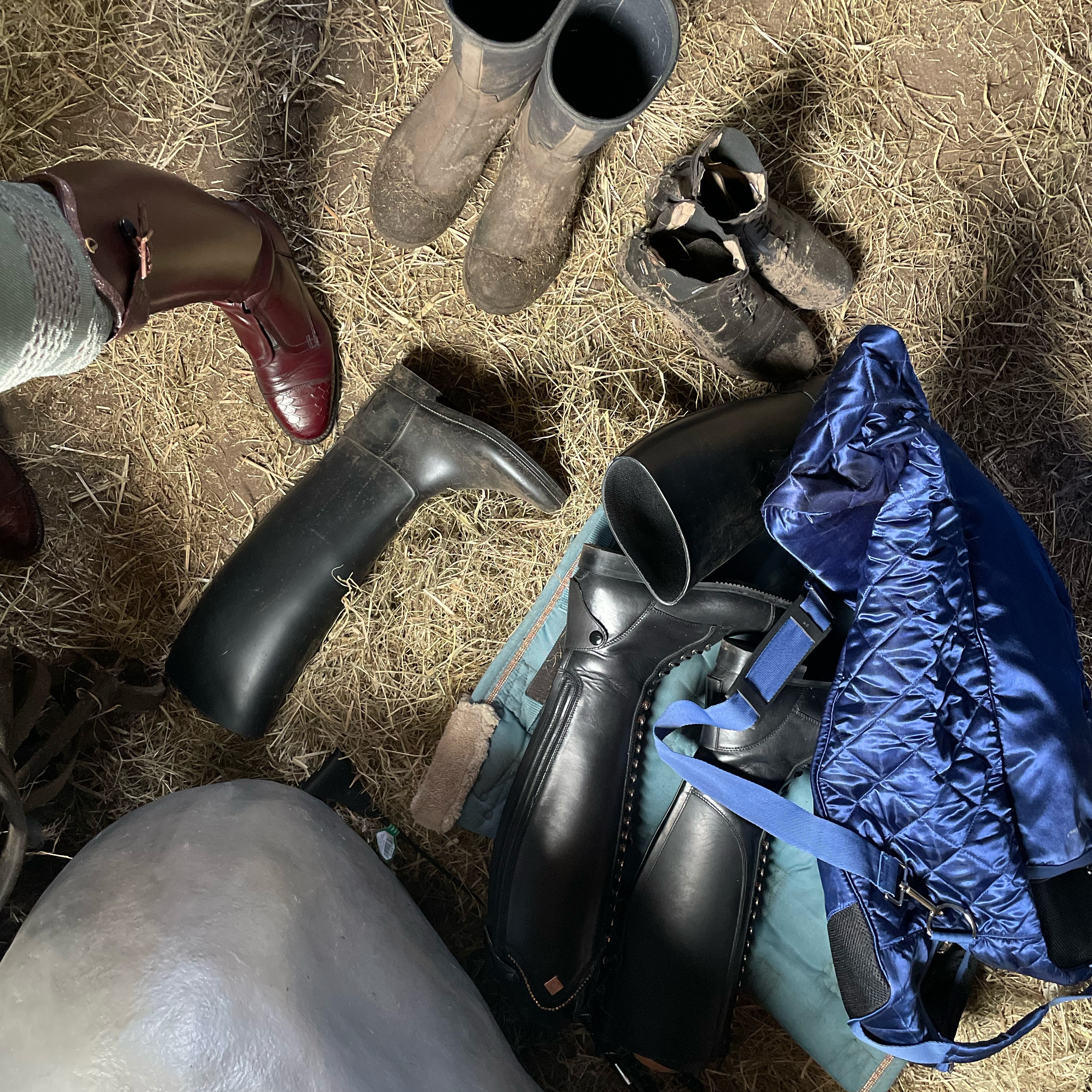 My shed after I went live 🌈Enjoy the mess 👸🏼✨

#ridingboots #horsegirls #leatherboots #rubberboots #ootd #equestrianmodel #equestrian #equestrianboots #hunterboots #aigleboots #ridingmistress #reitstiefel #reitherrin #equestrianlifestyle