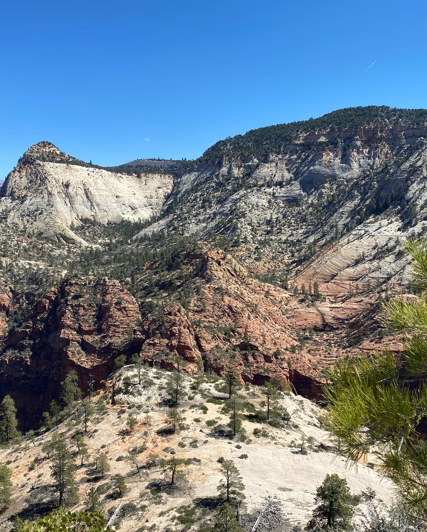 Day 1 of the Zion of Fitness Retreat ⛰️ 
Angels Landings & West Rim Trail

#teamquinnfit #zion #hiking