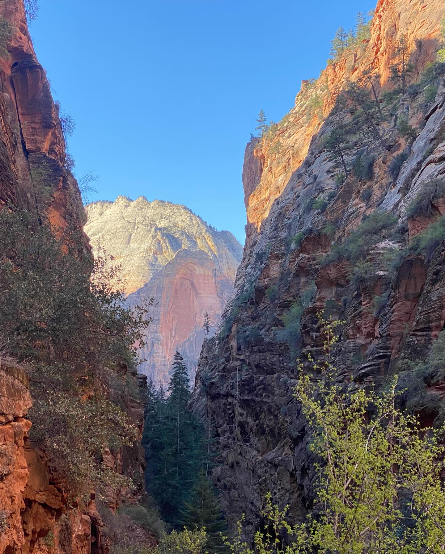 Day 1 of the Zion of Fitness Retreat ⛰️ 
Angels Landings & West Rim Trail

#teamquinnfit #zion #hiking
