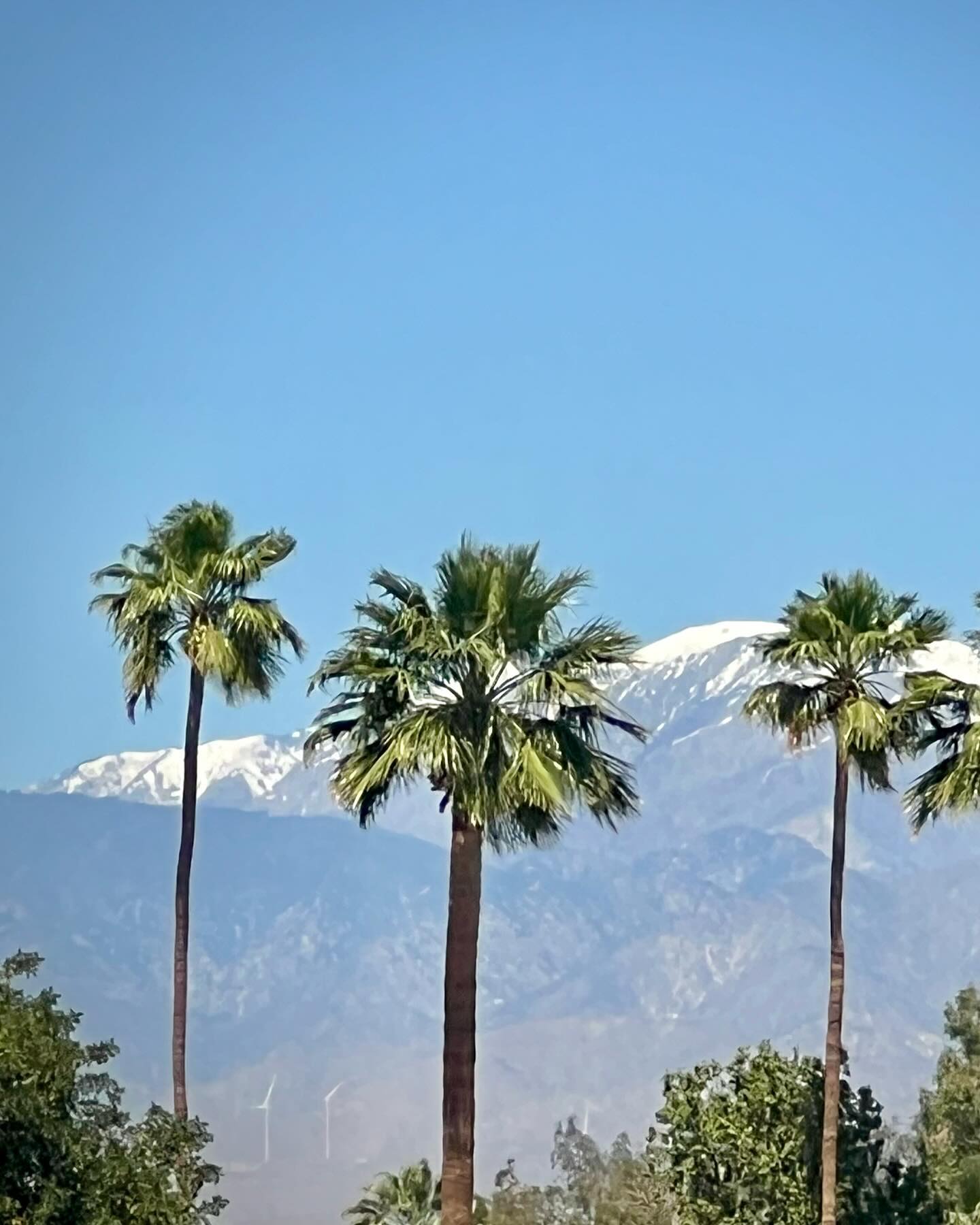 I’m moving to Palm Springs. 🌴 After 22 amazing years in Houston, I’m excited for a big change and fresh start.  I visited a few weeks ago only to look at places, but I found a perfect apartment with great location, good price and a stellar view of the mountains. I’ll be fully there by the end of this month. I anticipate incredible content opportunities - in both Palm Springs and Los Angeles. And, I really look forward to new friends and becoming an active participant in the community there. While I’m so thrilled, uprooting after being here decades is gonna be tough. 😭 So your positive thoughts and good energy are especially appreciated during the transition. I’d like to give a special shout-out to the late, great @jayjorgensenphoto who took the professional pics attached to this post. #palmsprings #speedo #moving #lifechanging #houston #community