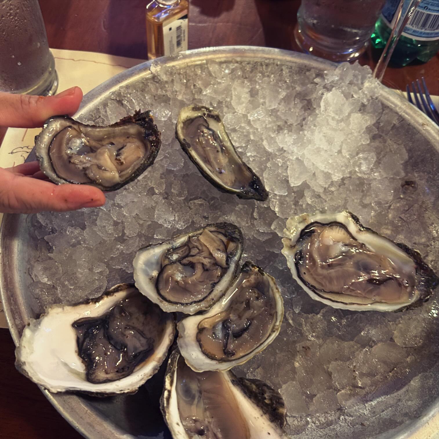 Luscious oysters !