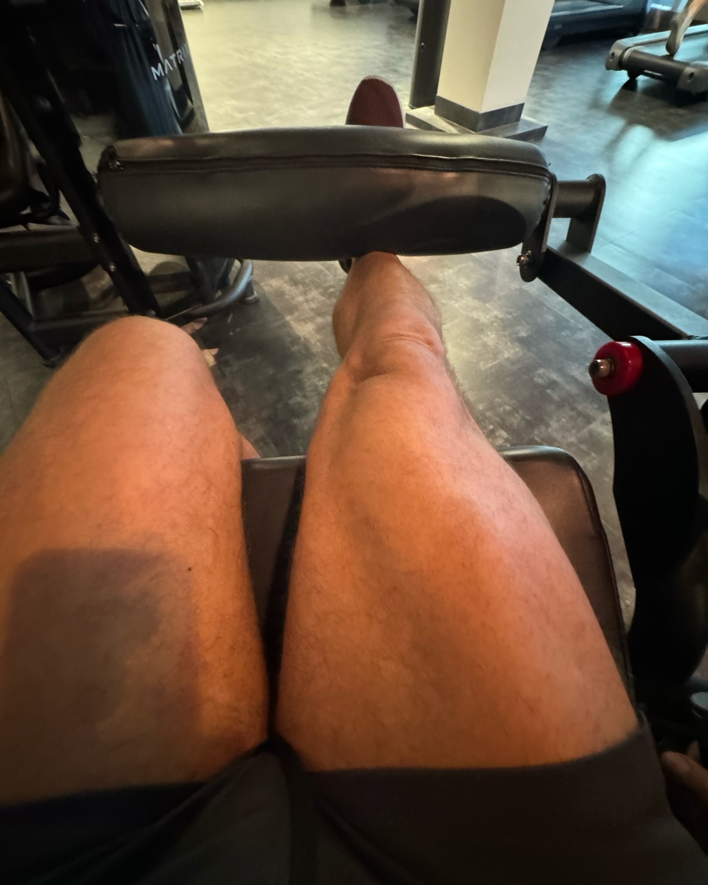Project „chicken legs“ @sloppy_joeyy 😉😄🥰

#gym #workoutmotivation #veganfit #gayfit