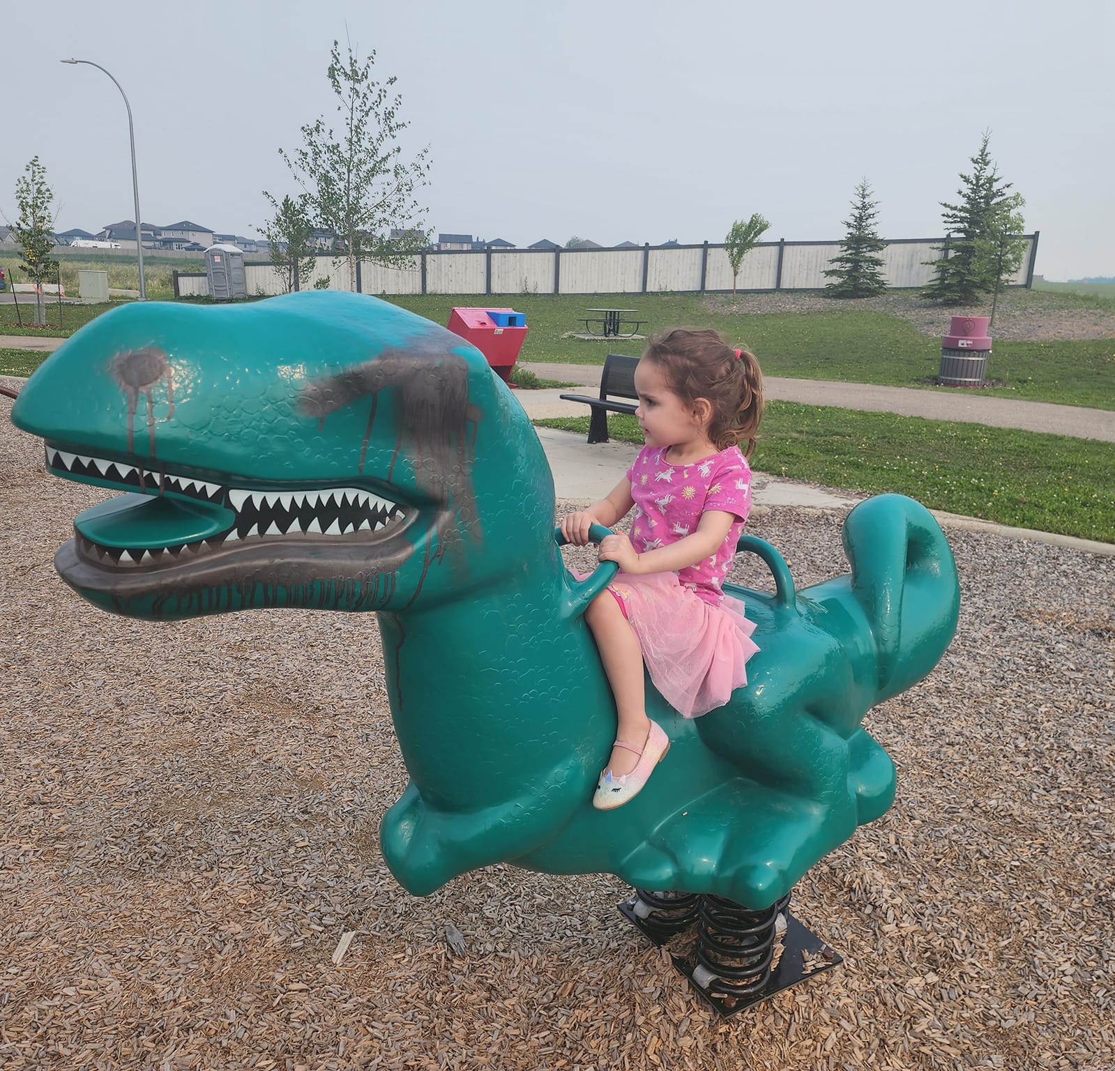 Dinosaur park with the little one