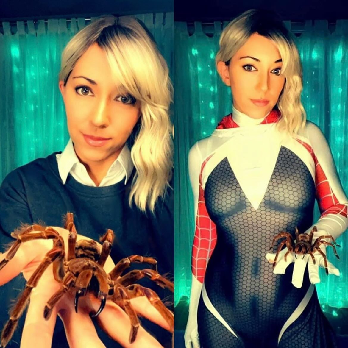 My 12th most *liked* cosplay, Spidergirl Gwen!  She’s one of my favorites!  Did you know I also have a creepy hobby… tarantula taxidermy! 

Streaming starting in 12 days!! Please subscribe to my YouTube or Twitch channel and come say hi!! Link in bio!
.
.
.
.
.
.
.
.
.
#cosplay #twitchstreamer #twitch #twitchgirl #egirl #gamergirl #girlgamer #twitchtv #ttv #streamergirl #girlstreamer #pcplayer #animegirl #cosplaygirl #twitchaffiliate #twitchgirls #nerdygirl #psycobia #marvel #spiderman #spidergwen #spidergirl #girl #tarantula #taxidermy #floridagirl