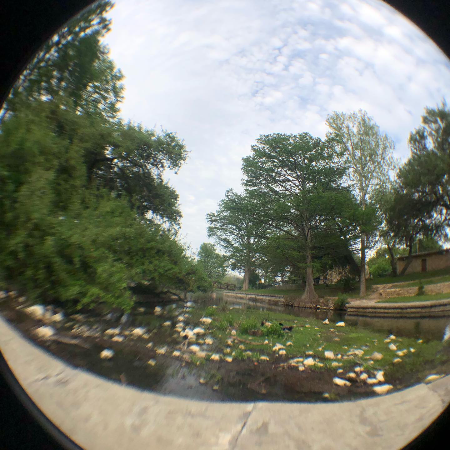 I am completely normal and can be trusted with a fisheye lense attachment for my smartphone