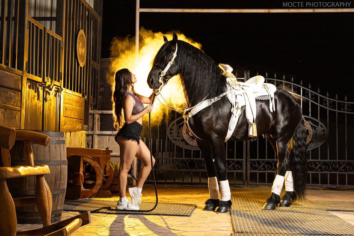 🖤✨ Behind the Scenes Magic ✨🖤

Swipe left to dive into the enchanting world of our amazing photoshoot, featuring the stunning elegance of @yarabithbolivar and the majestic beauty of the serene black stallion. Together, they create a vision of strength and grace that’s simply breathtaking.

📸 Captured by: @moctephotography 

Location: @ajranchphotos
