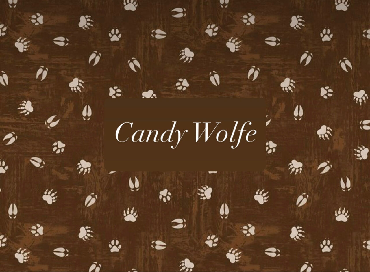 See Candy Wolfe profile