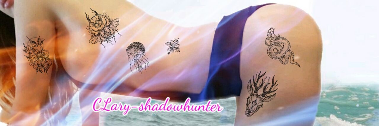 See Clary-shadowhunter profile