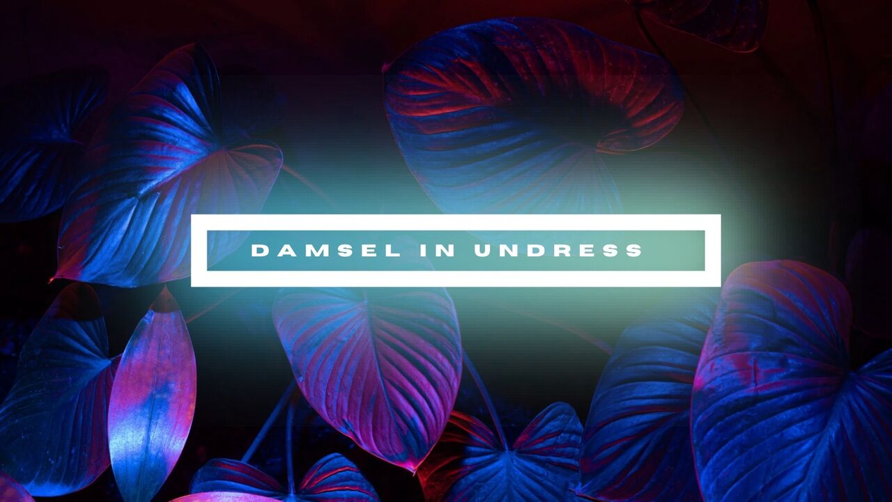 See Damsel In Undress profile