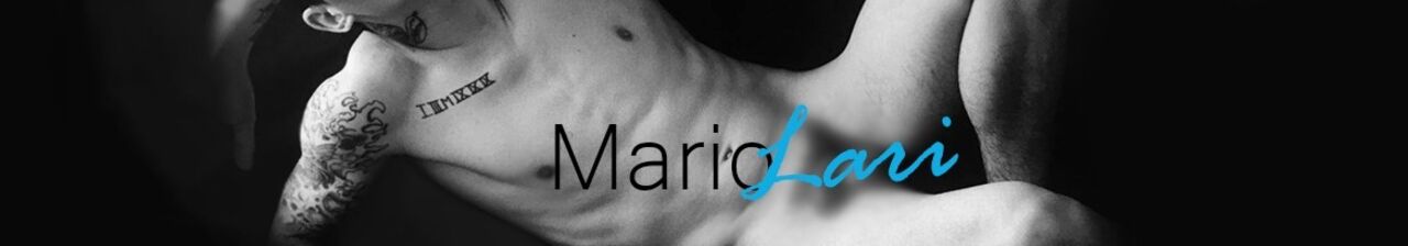 See Mario Lari profile