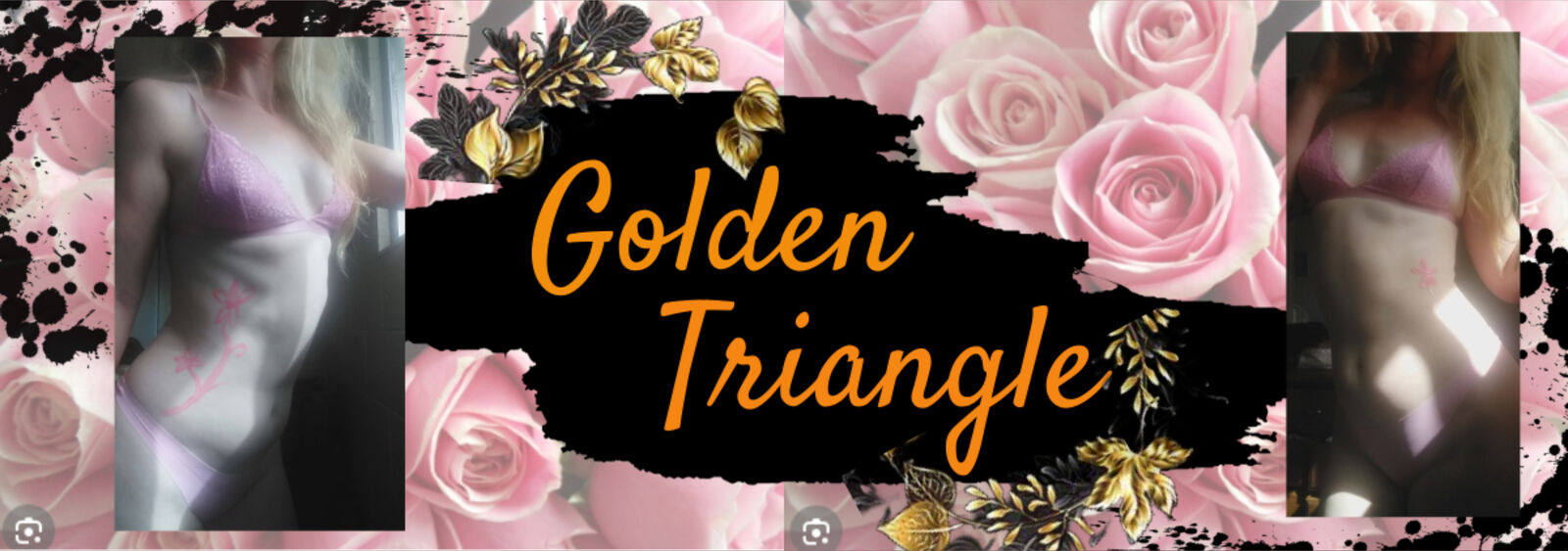 See Golden Triangle profile