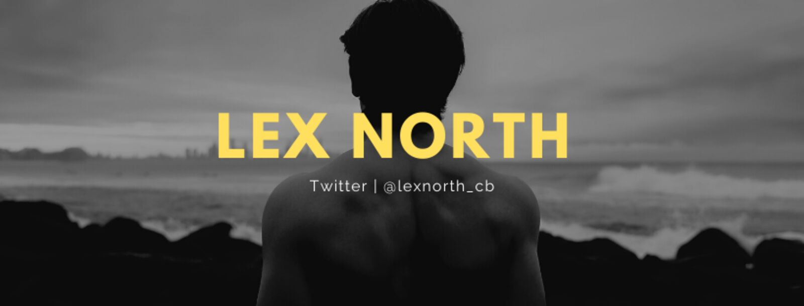 See Lex North profile