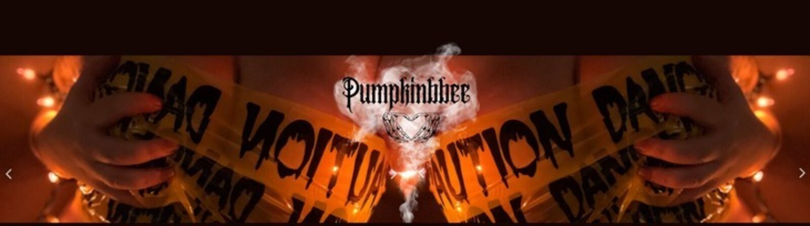 See Pumpkinbbee profile