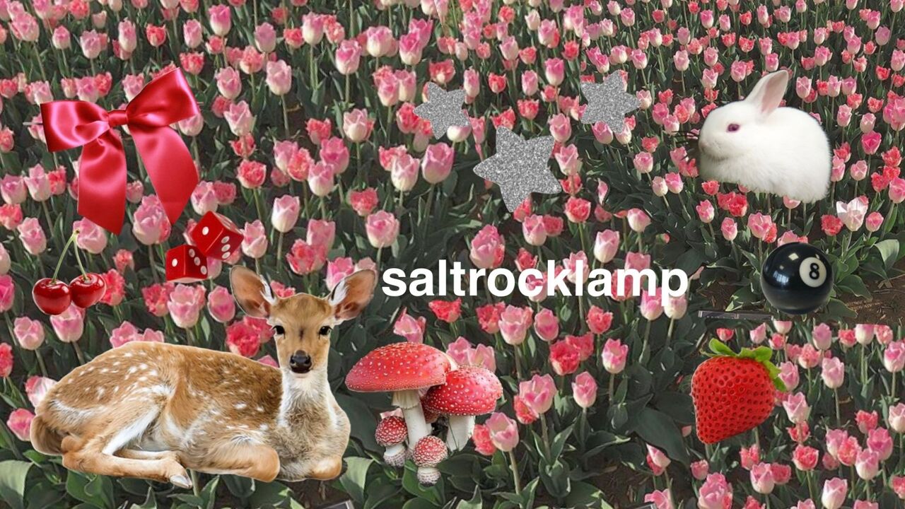 See saltrocklamp ⋆ ˚｡⋆୨୧˚ profile