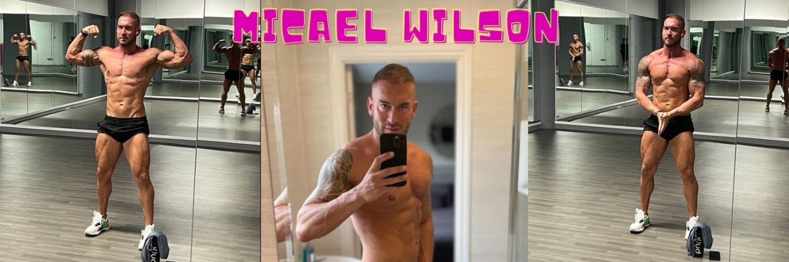 See Micael Wilson profile