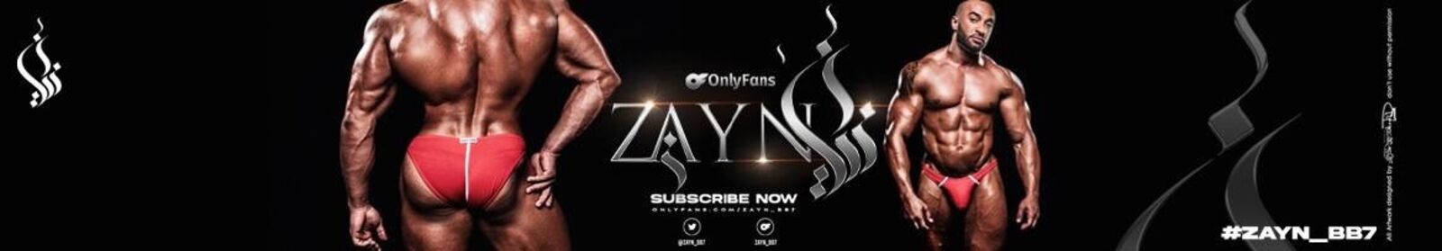 See Zayn profile